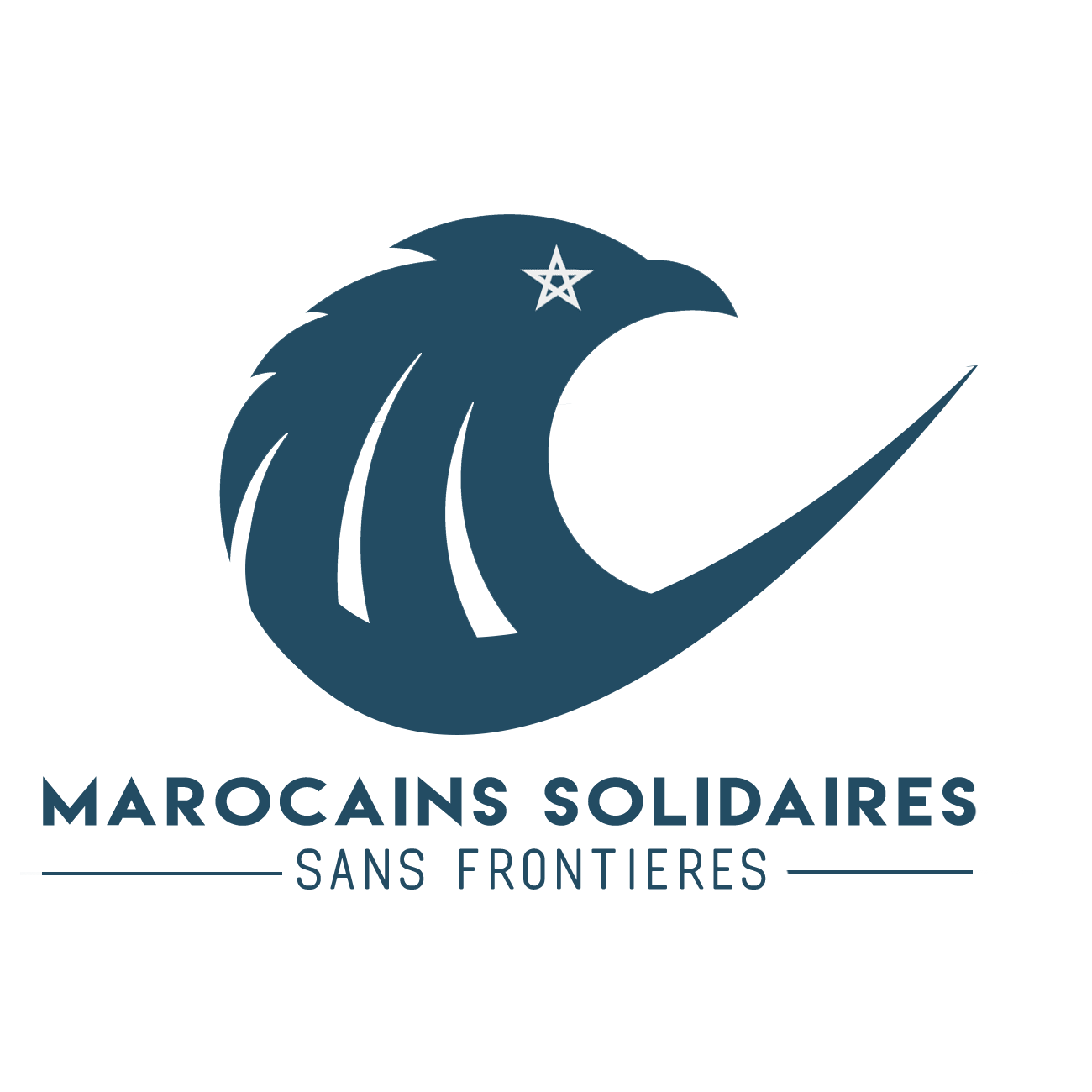 Association Marocains solidaires sans frontières