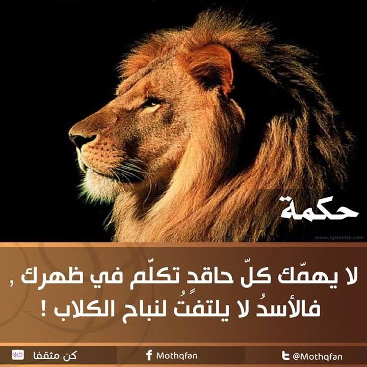 Nabil ALMORABIT