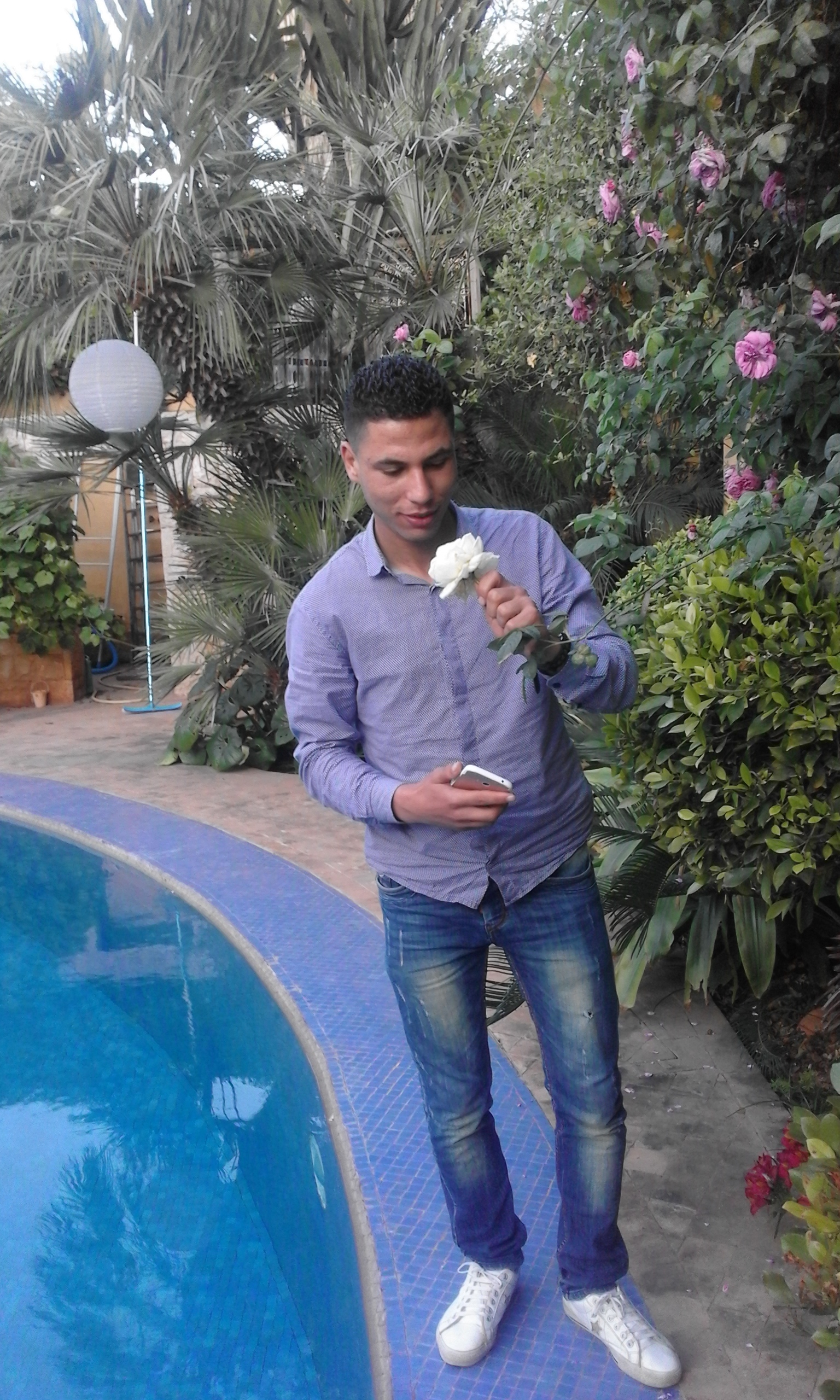 Amine BELFATMI