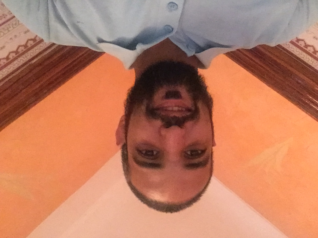 ربيع محمد