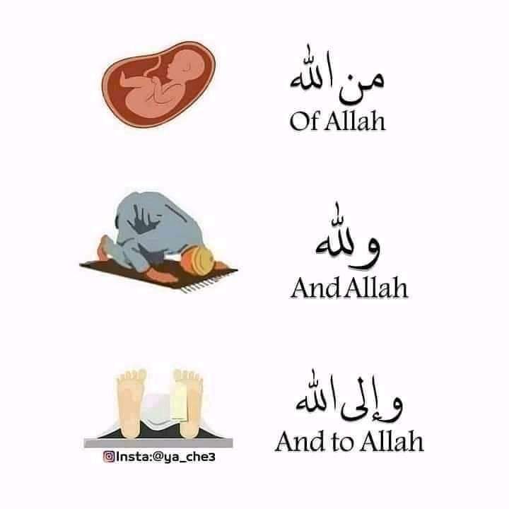 عزيزة نقاش