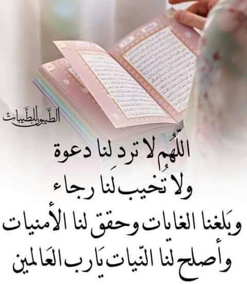 Zineb DRISSI EL BOUZAIDI