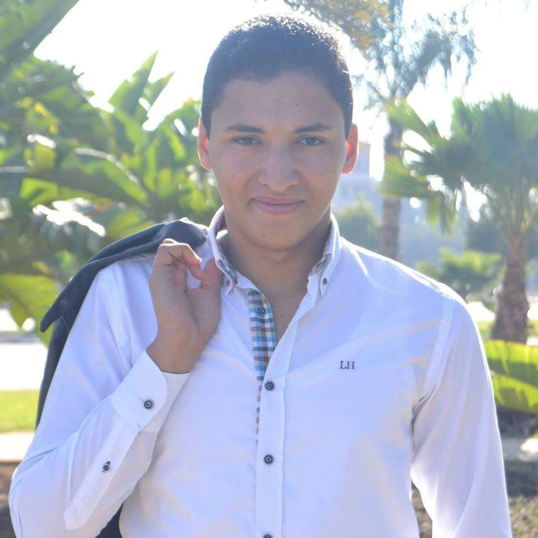 Mehdi RHOULAM