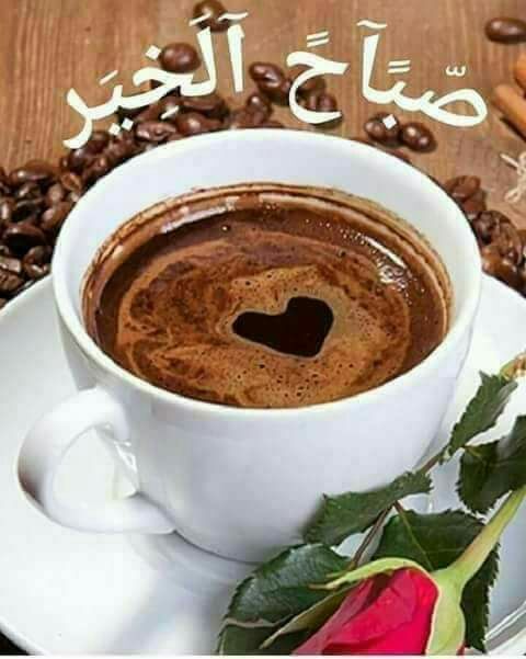 Rabab BANNOUR