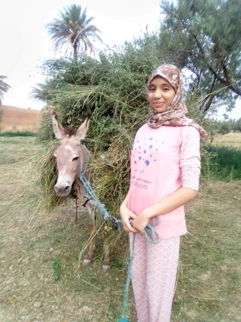 Ikram ELKHOUKH