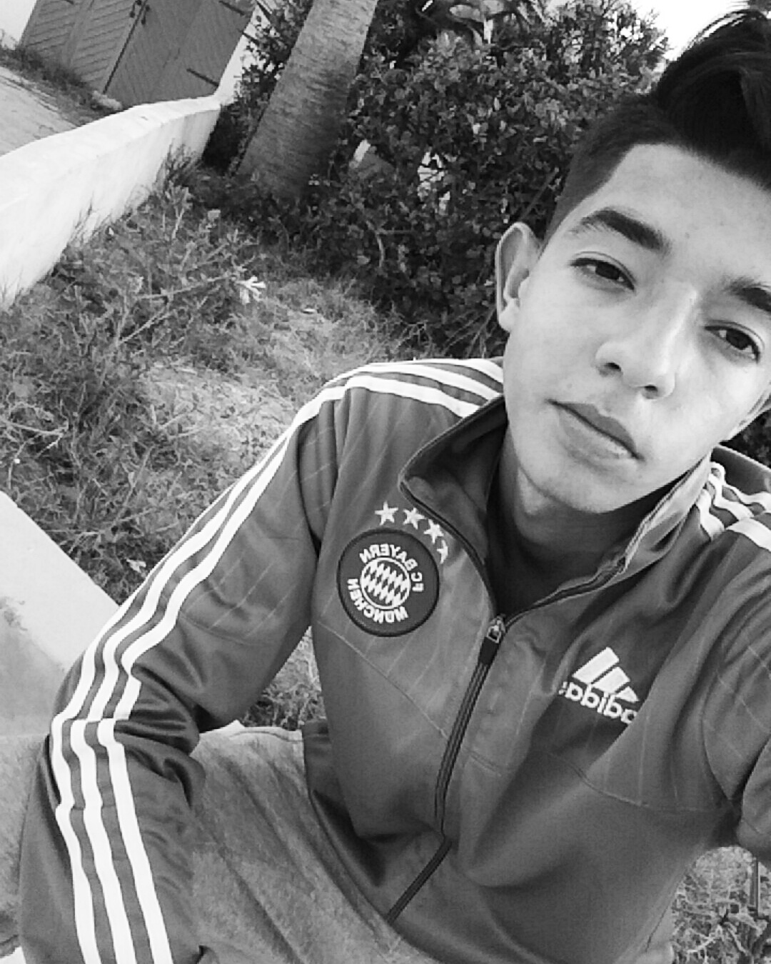 Aioun FAYÇAL