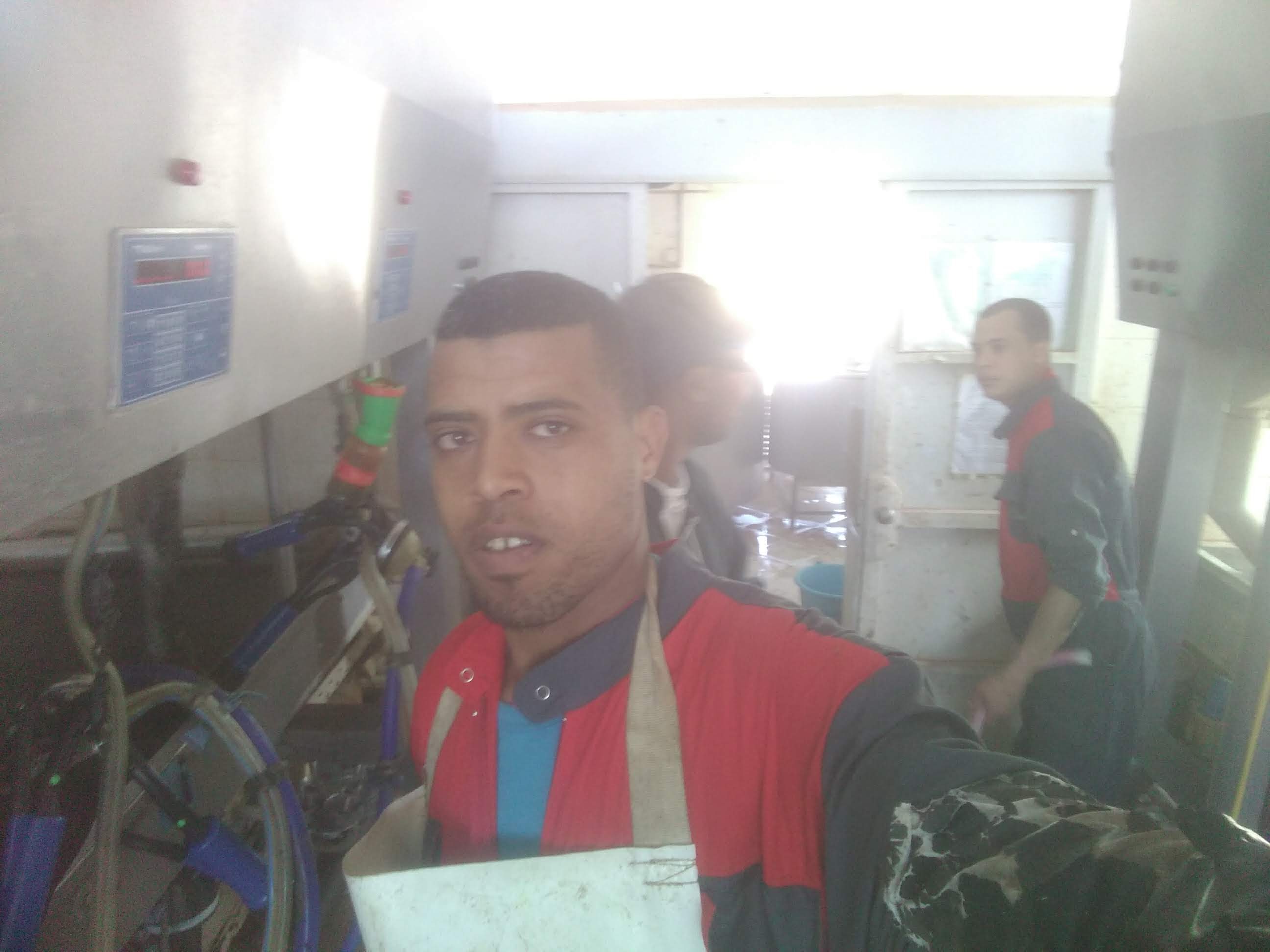 اسماعيل سدي إبراهيم
