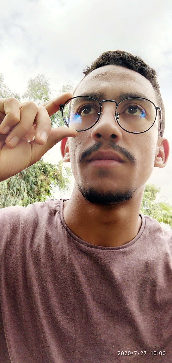 محمد أمين بودلاعة