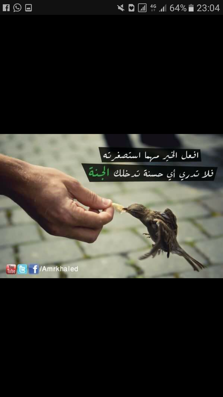 سناء العواد