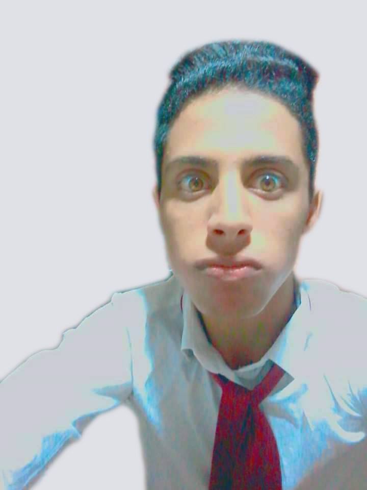 Salah Eddine ABOU EL FATH