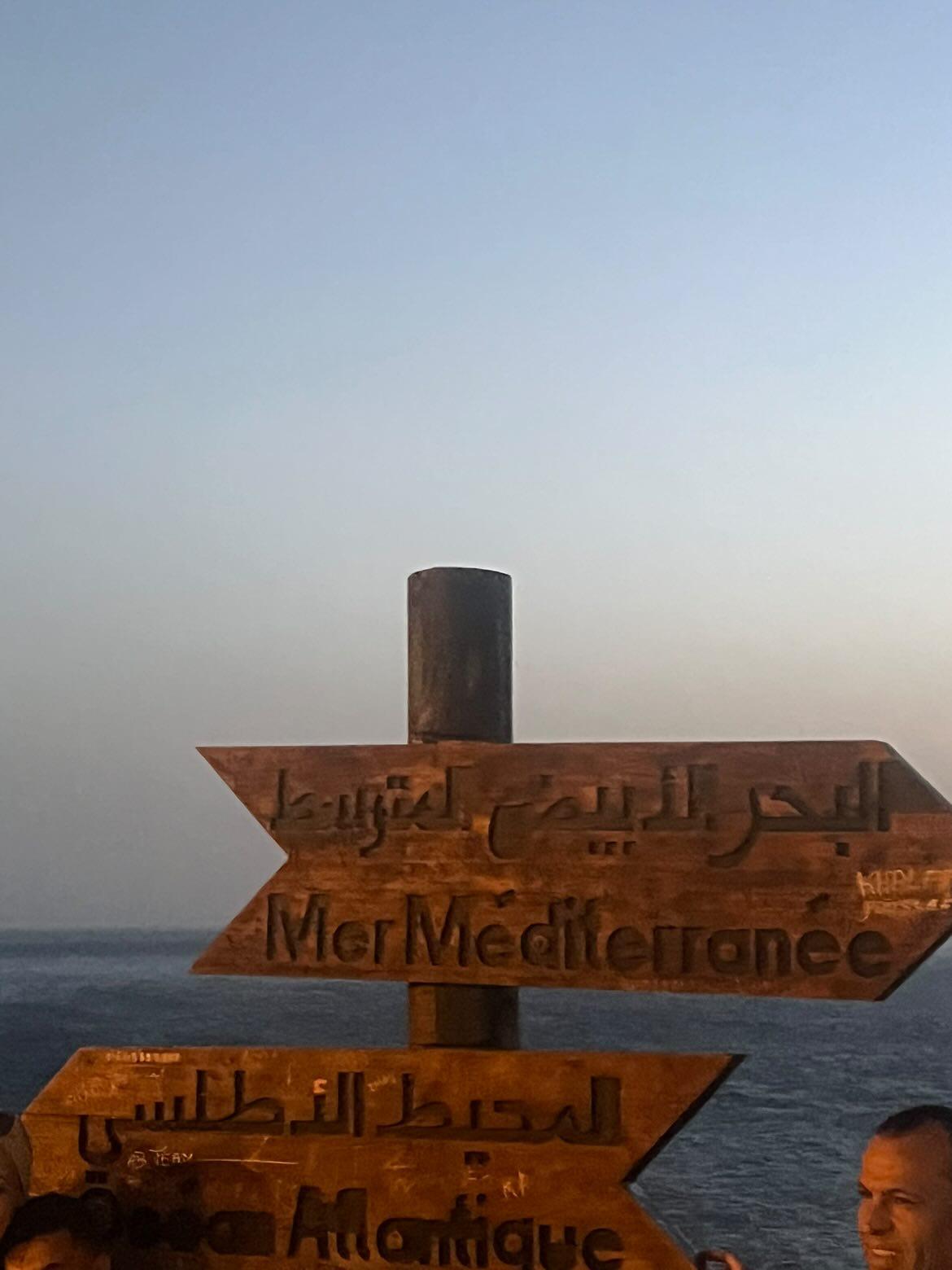صلاح الدين  صيفي
